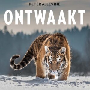 de-tijger-ontwaakt